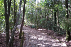 Parque das Mangabeiras Belo Horizonte